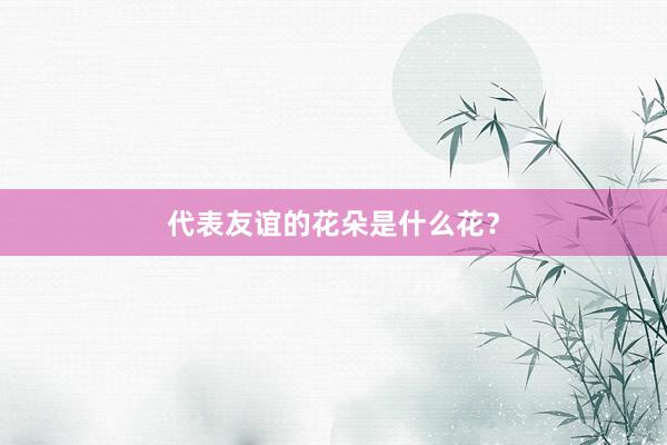 代表友谊的花朵是什么花？